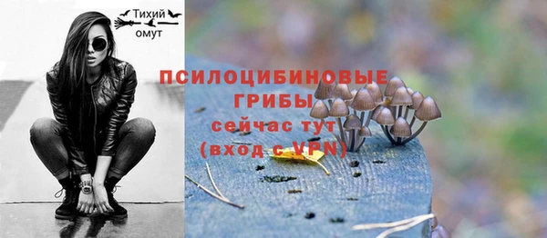 гидра Магас
