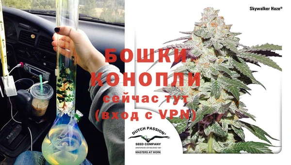 прущие грибы Магадан