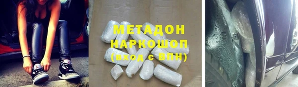 прущие грибы Магадан