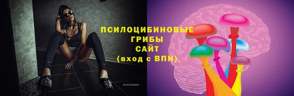 прущие грибы Магадан