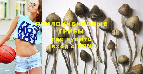 эйфоретик Мегион