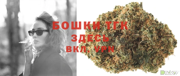 ECSTASY Медвежьегорск